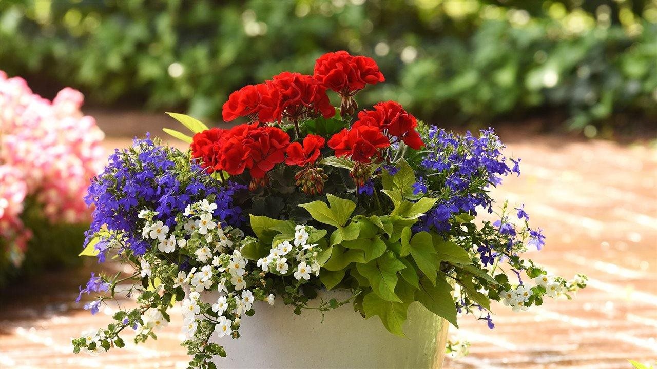 Photo for: How to revitalize outdoor spaces with this year's garden trends