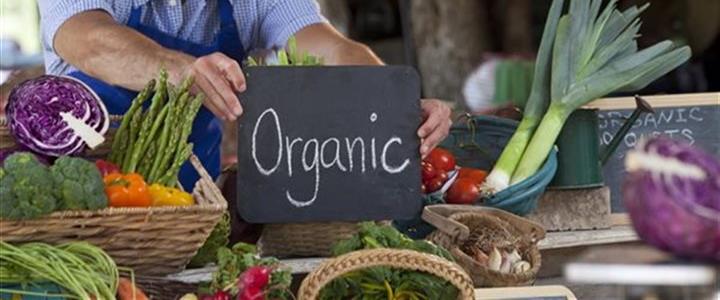 Photo for: Getting the most out of farmers markets and seasonal produce