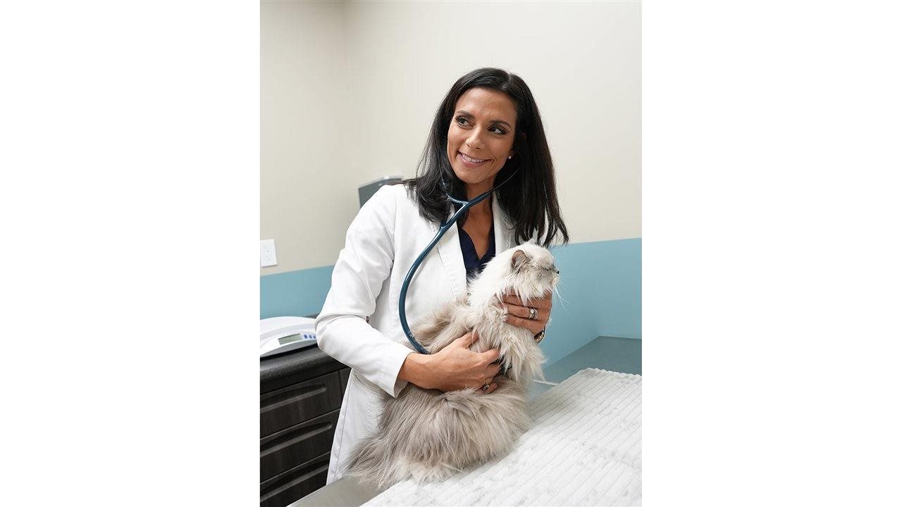 Dr. Ashlie Saffire, DVM, DABVP (felina), fundadora y vDr. Ashlie Saffire, DVM, DABVP (felina), fundadora y veterinaria principal del Centro de especialidades para gatos de Faithful Friends Clinic.