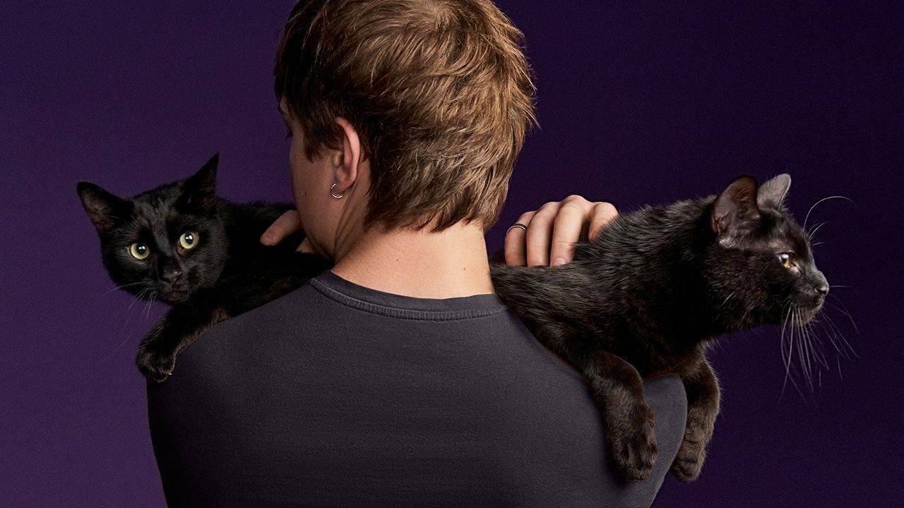 Photo for: 6 assumptions that could keep you from being a great cat dad