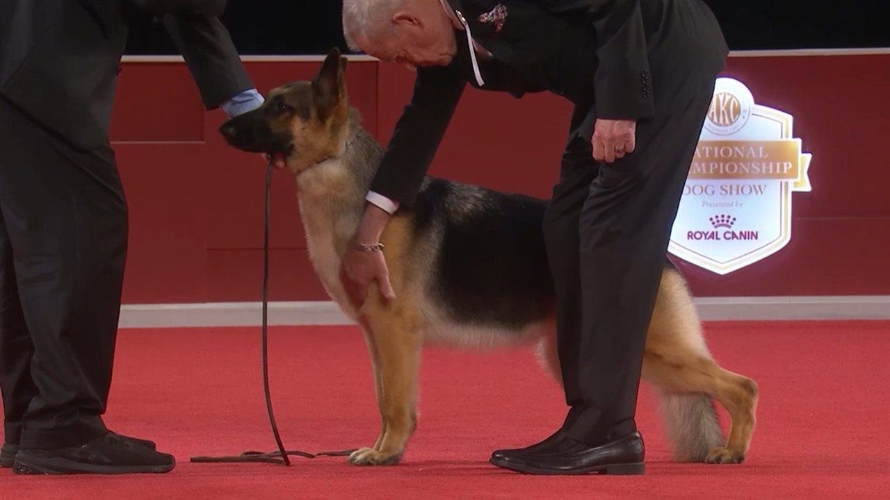 Photo for: 25th Annual National Championship Names This Year’s Winner