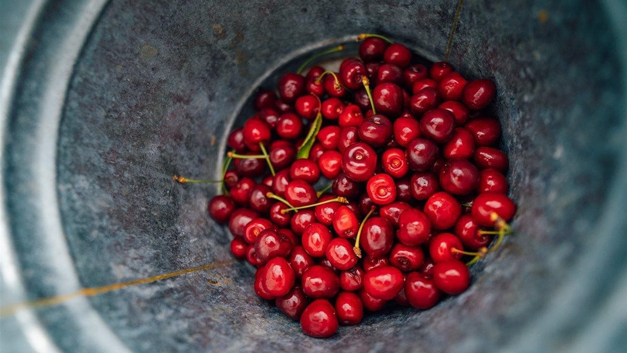 Preview image for How to travel like a foodie: Tips for planning a culinary vacation