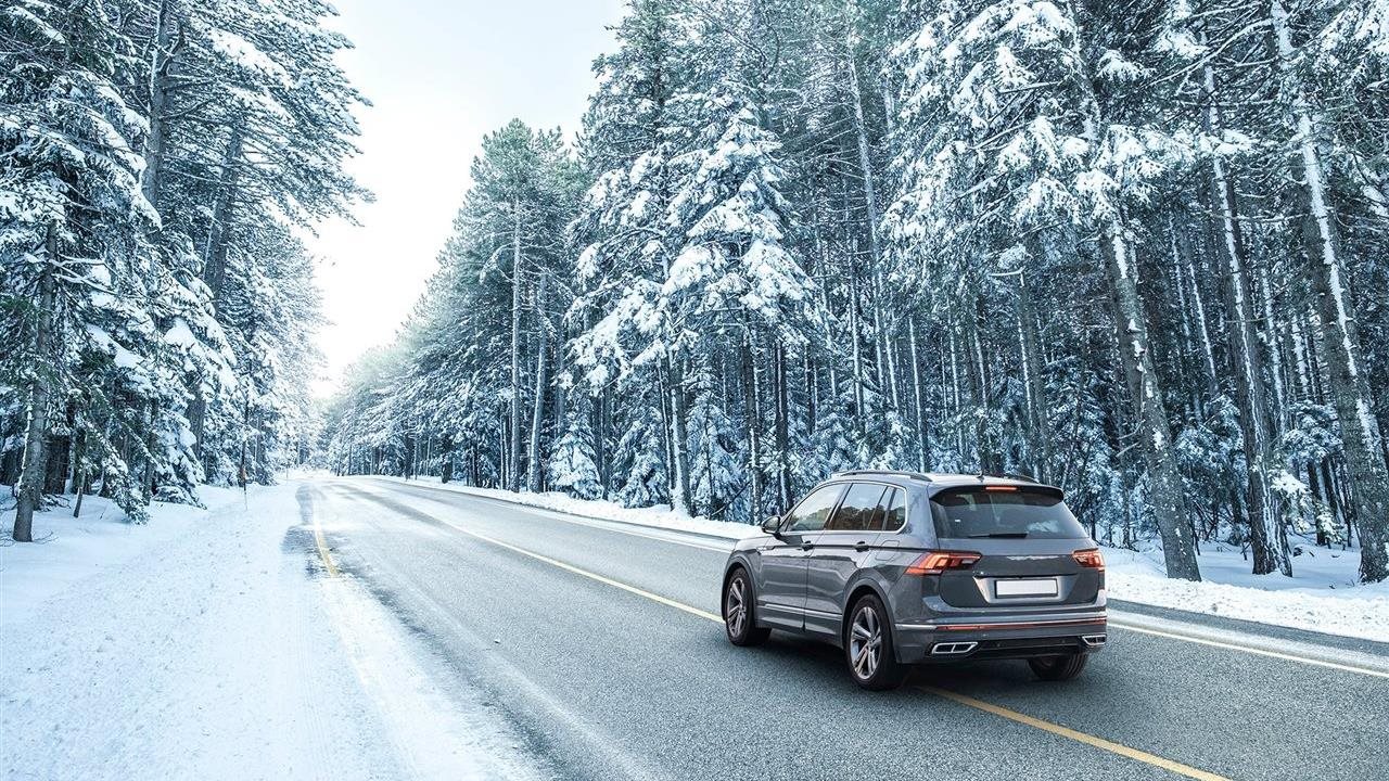 Photo for: Driving Skills Worth Gold: How Americans View Competitive Driving