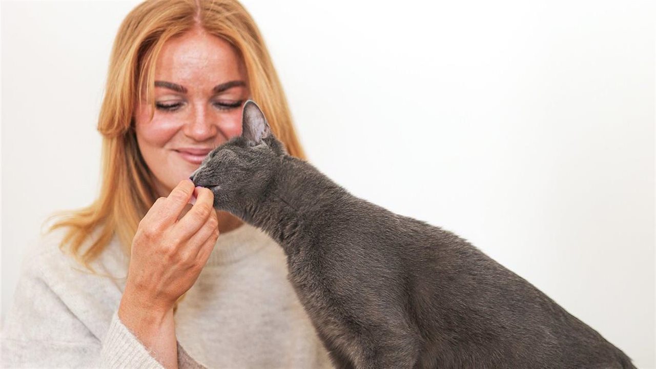 Photo for: Why cat dental disease is often hidden until it’s advanced