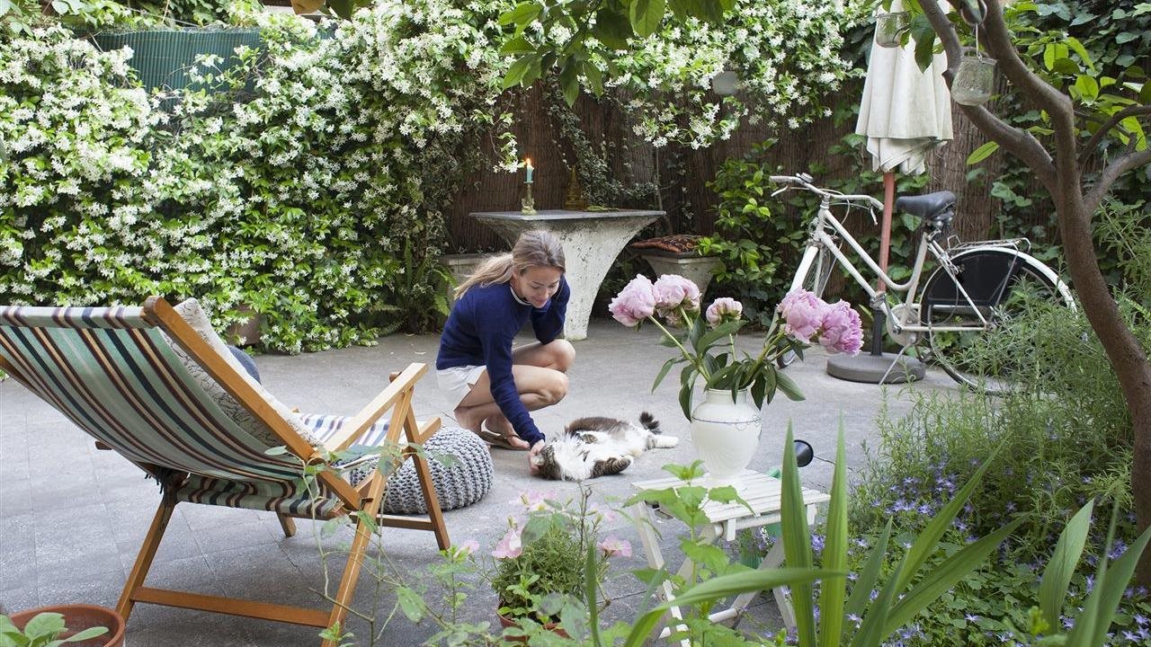 Preview image for 5 ways to get more enjoyment from your backyard