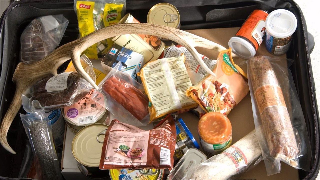 Photo for: Traveling this holiday season? What you need to know