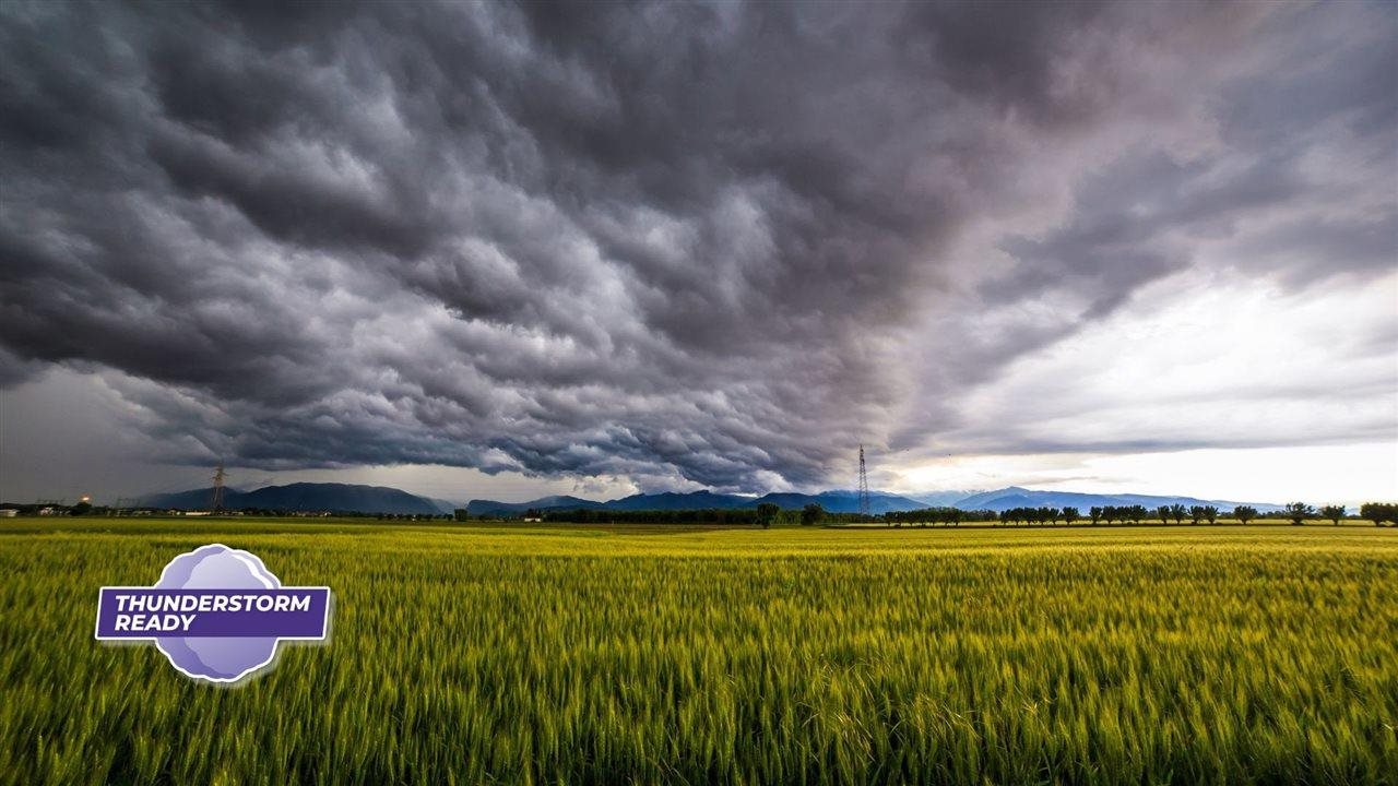 A thunderstorm in a field. The Insurance Institute for Business & Home Safety suggests a strong roof and garage door can reduce costly damage from storms.