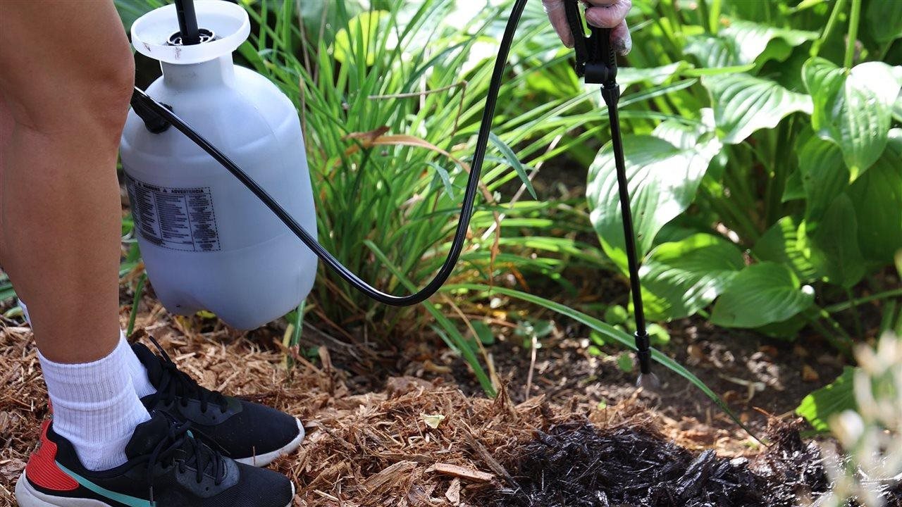 Man using sprayer to apply NorthRock Mulch Renew®, from TCC Materials, to his existing landscaping mulch.