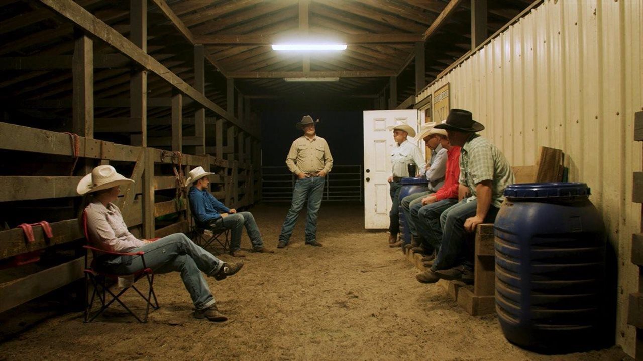 Cattlemen having a discussion in a cattle barn.