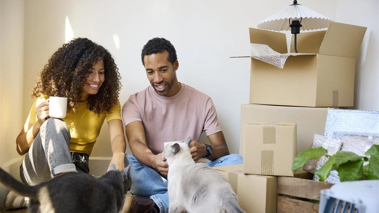 Couple with moving boxes petting their cats. The WhisperGreen Select Fan ventilates your bathroom, basement or garage.