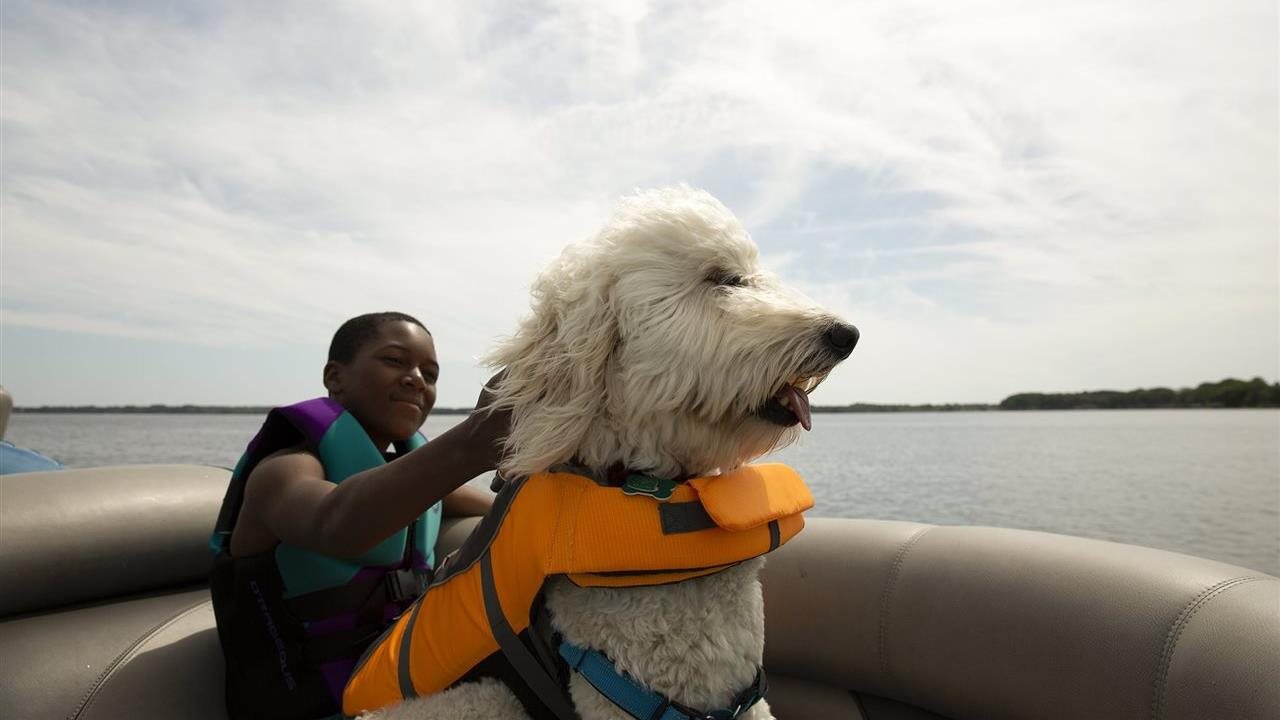 Young boater petting his dog while riding in a boat purchased ant the National Marine Manfucturers Association boat show.