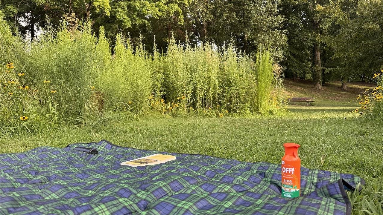 Photo for: Make the most of summer: How area repellents and a few simple habits can help keep mosquitoes from ruining the moment